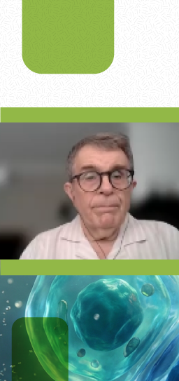 MDN