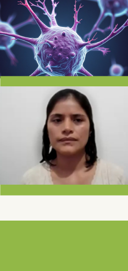 MDN